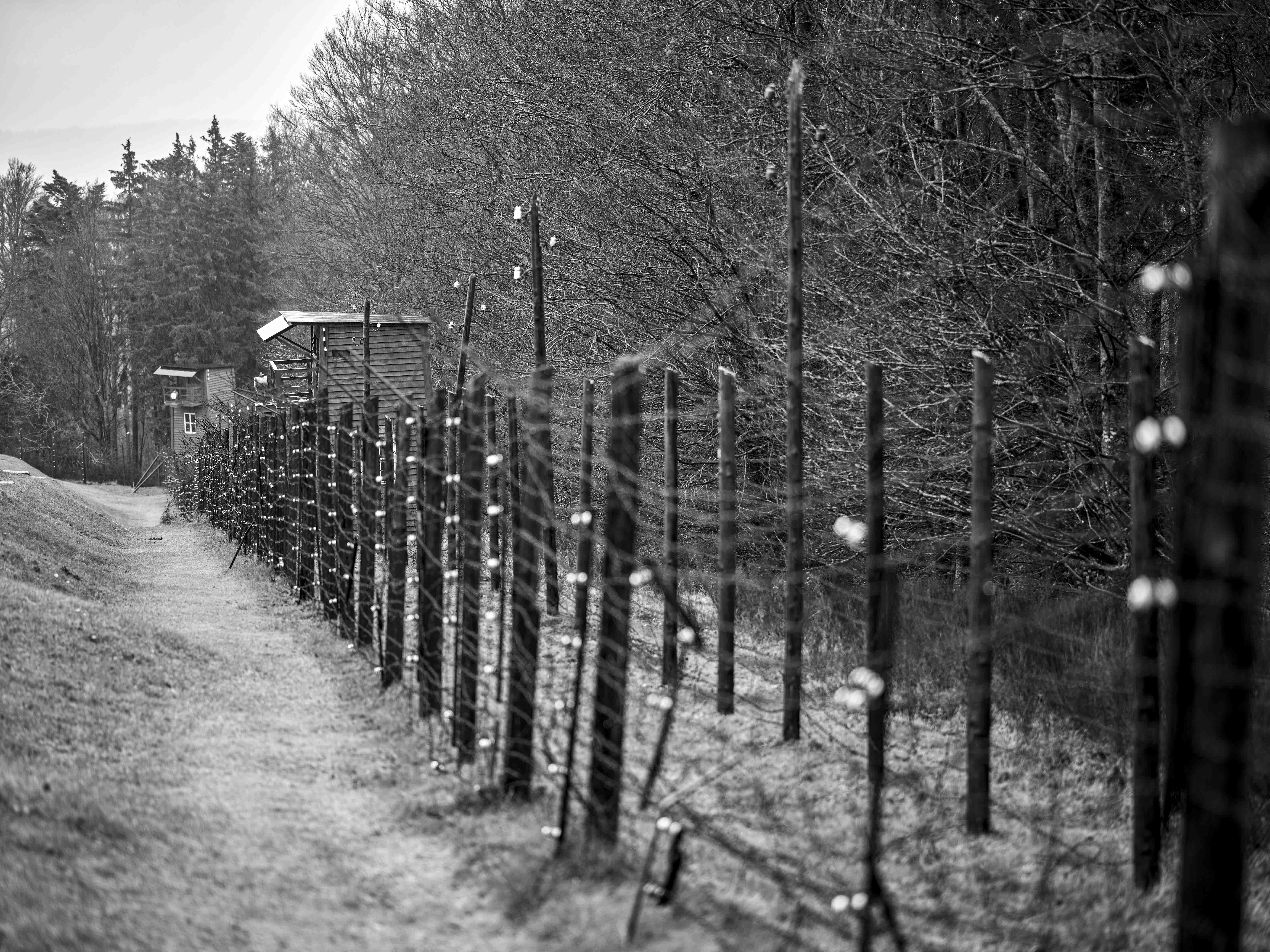 Holocaust Commemoration